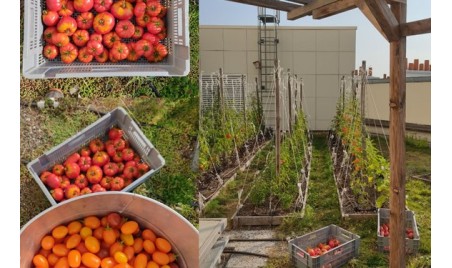 Potager Paris Opera Bastille