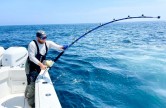 PÊCHE AU THON ROUGE