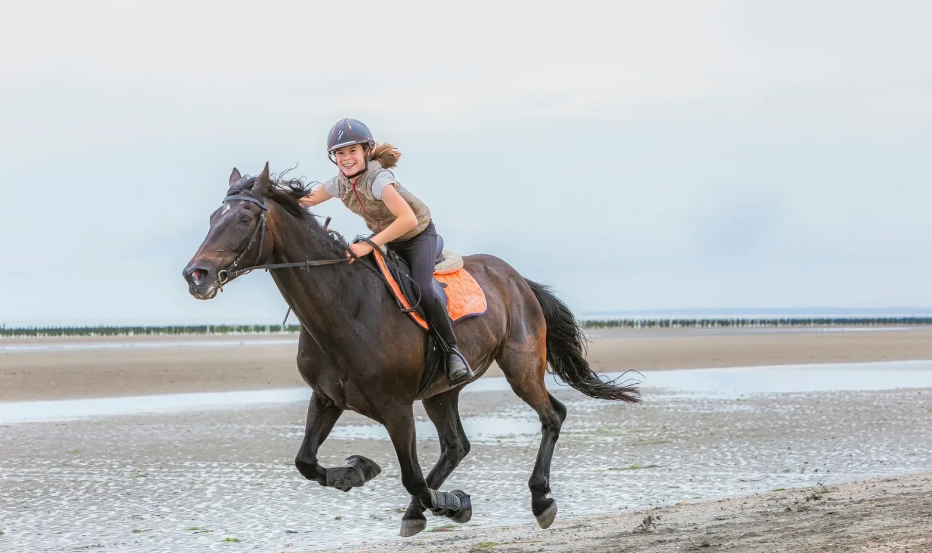 Horse ride, gallop on the beach of Deauville ‹ Greets Paris