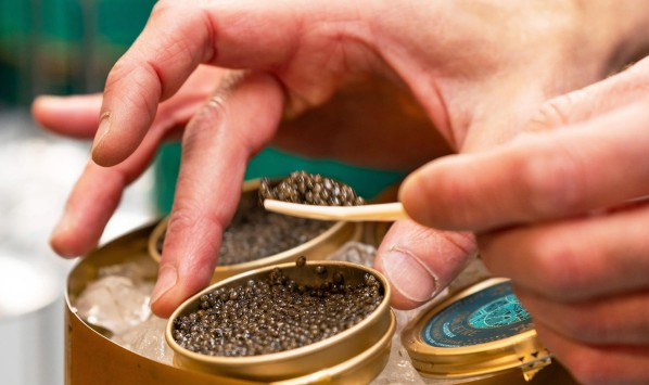 Degustation caviar ‹ Greets Paris