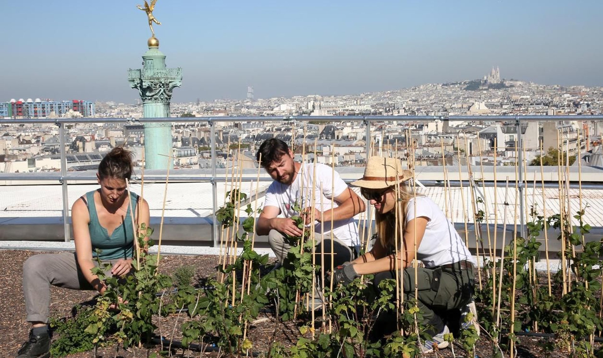 UN POTAGER SUR LE TOIT DE L’OPERA BASTILLE  ‹ Gastronomie et arts de vivre ‹ Greets Paris