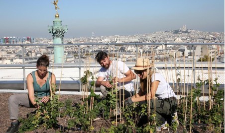 A VEGETABLE GARDEN ON THE ROOF OF THE OPERA BASTILLE ‹ Gastronomy & art of living ‹ Greets Paris