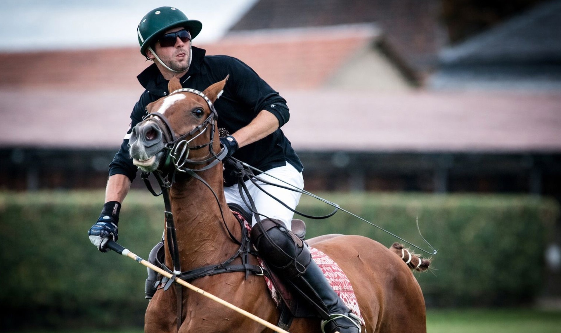 Initiation to Polo, horse riding ‹ Greets Paris