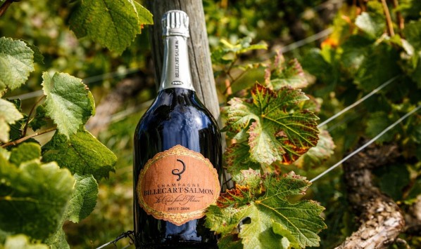 EXCPETIONAL STAY IN CHAMPAGNE, IN THE WORLD OF BILLECART-SALMON ‹ Greets Paris