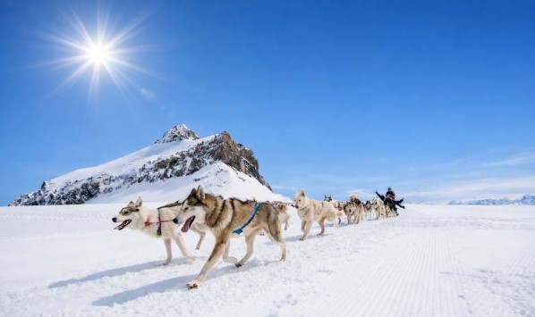 dog sled ride in gstaad ‹ Greets Paris