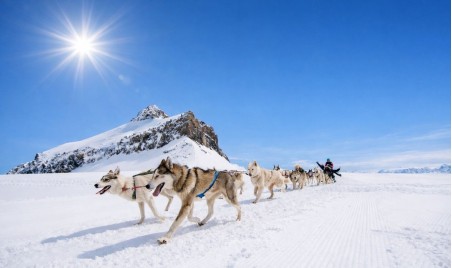 dog sled ride in gstaad ‹ Greets Paris