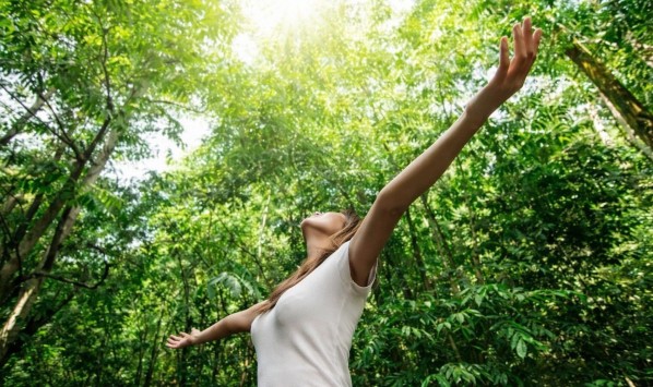 House The Harmonist ‹ Well-being and fragrances ‹ Greets Paris