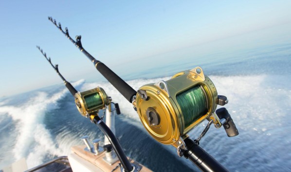 PRIVATE BLUEFIN TUNA FISHING ‹ Greets Paris