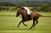 Blondes d’Aquitaine et Tradition … goûtez l’excellence !