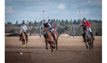 Initiation Polo Champion