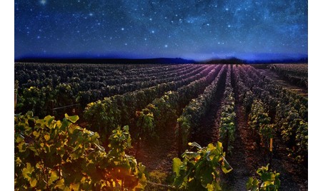 EXCPETIONAL STAY IN CHAMPAGNE, IN THE WORLD OF BILLECART-SALMON