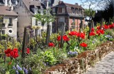 visite artistique, tour montmartre