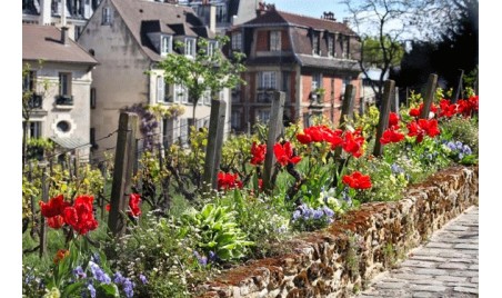 visite artistique, tour montmartre
