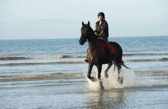 Balade à Cheval sur la plage de Deauville