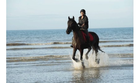 Confrontez-vous à Olivier PANIS Champion de Formule 1.