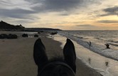 Balade à Cheval sur la plage de Deauville