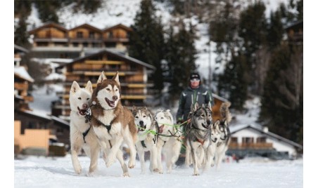 Antonio Magicien Mentalist