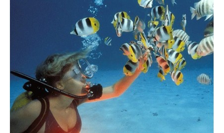 EXCPETIONAL STAY IN CHAMPAGNE, IN THE WORLD OF BILLECART-SALMON