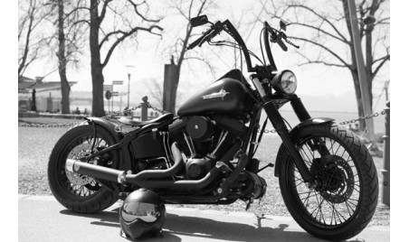 Dans la peau d'un rider