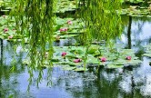 Giverny, le village des impressionnistes