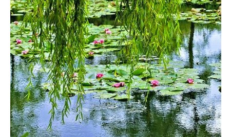 Giverny, le village des impressionnistes