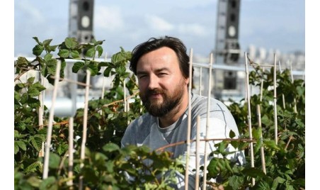 Potager Paris Opera Bastille