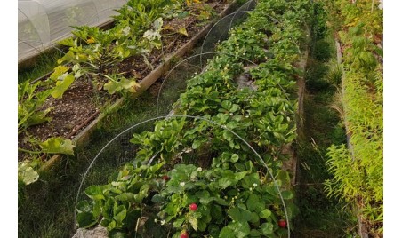 Potager Paris Opera Bastille