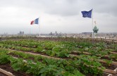 Potager Paris Opera Bastille