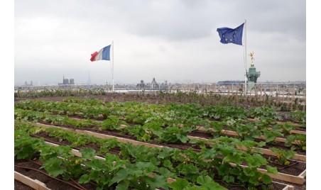 Blondes d’Aquitaine et Tradition … goûtez l’excellence !