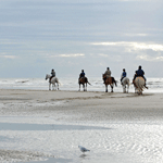 BALADE A CHEVAL DEAUVILLE