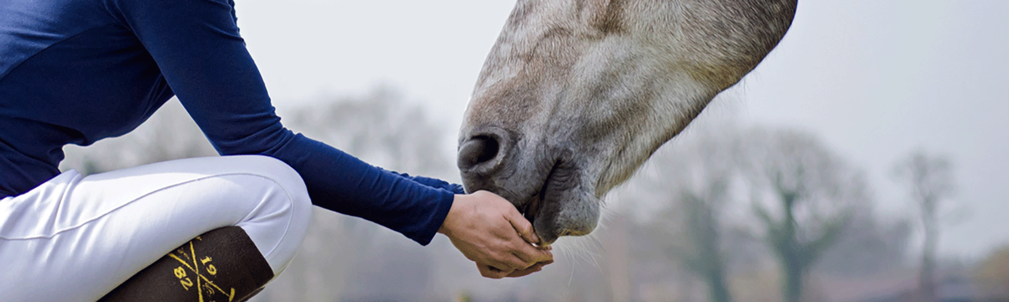 complicité_cavalier_cheval