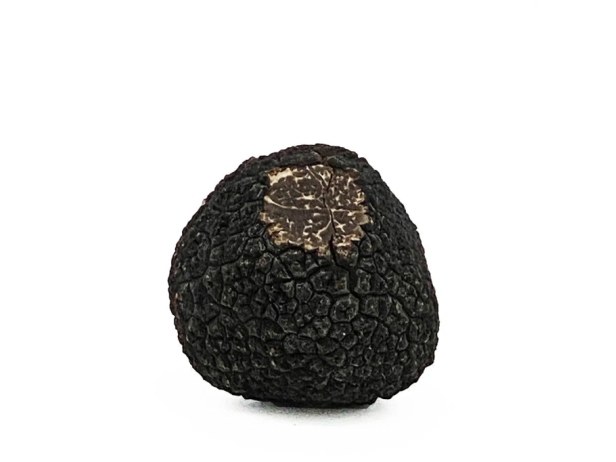 Greets partners with Balme, an exceptional truffle house.